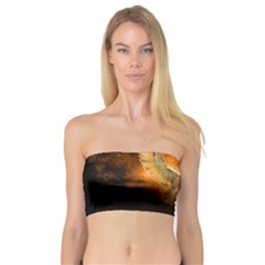 Art Creative Graphic Arts Owl Bandeau Top by Sapixe