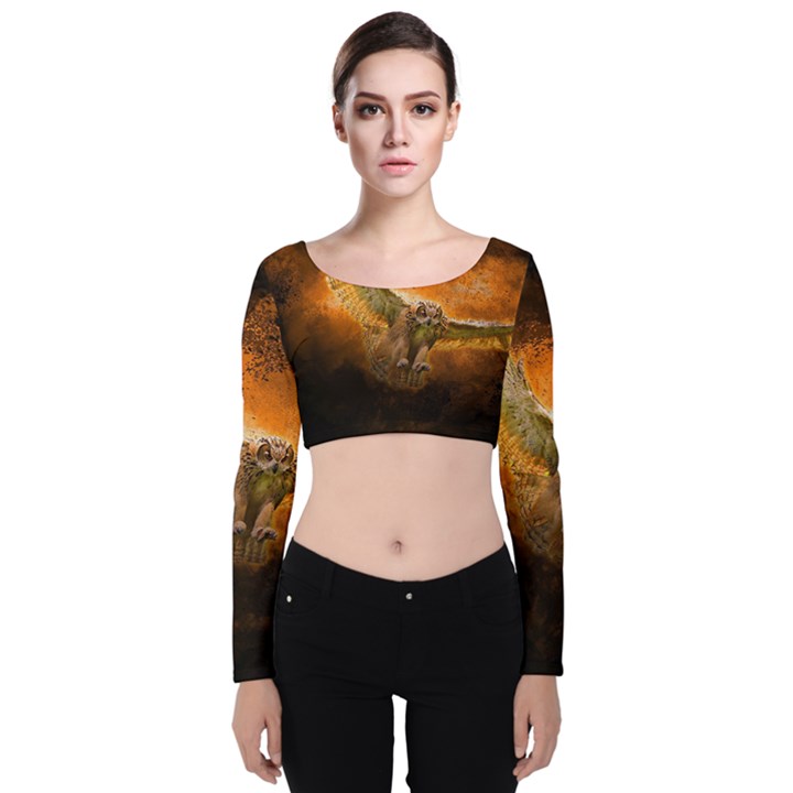 Art Creative Graphic Arts Owl Velvet Crop Top