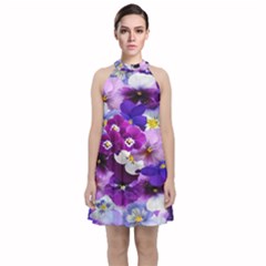 Graphic Background Pansy Easter Velvet Halter Neckline Dress  by Sapixe