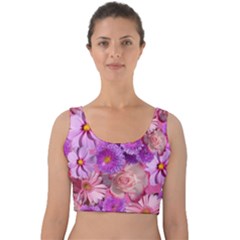 Flowers Blossom Bloom Nature Color Velvet Crop Top