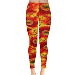 Gerbera Flowers Nature Plant Leggings  by Sapixe