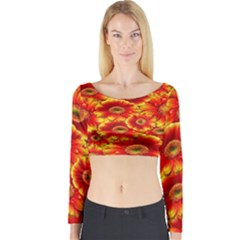 Gerbera Flowers Nature Plant Long Sleeve Crop Top by Sapixe