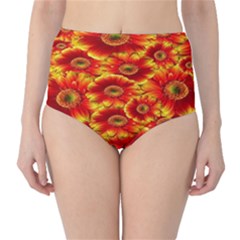 Gerbera Flowers Nature Plant High-waist Bikini Bottoms by Sapixe