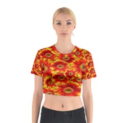 Gerbera Flowers Nature Plant Cotton Crop Top by Sapixe