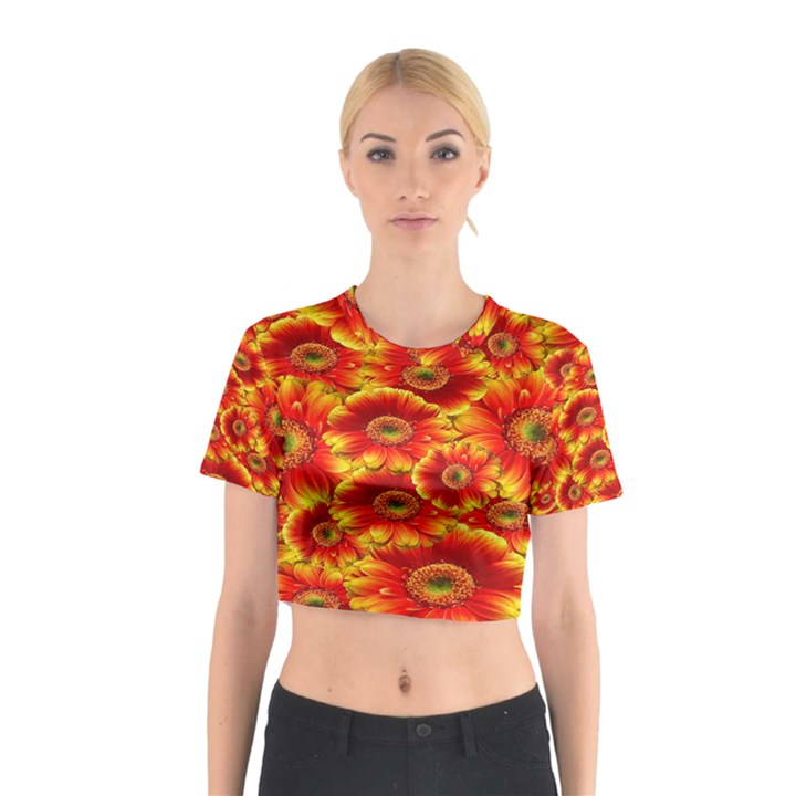 Gerbera Flowers Nature Plant Cotton Crop Top