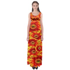 Gerbera Flowers Nature Plant Empire Waist Maxi Dress by Sapixe