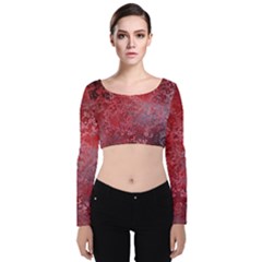 Background Texture Structure Velvet Crop Top by Sapixe