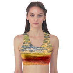 The Framework Drawing Color Texture Sports Bra by Sapixe