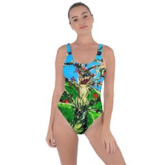 Coral Tree 2 Bring Sexy Back Swimsuit by bestdesignintheworld