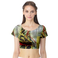 Hidden Strings Of Purity 15 Short Sleeve Crop Top by bestdesignintheworld