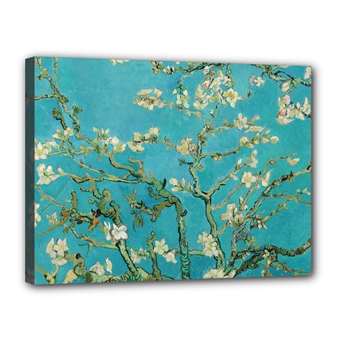 Almond Blossom  Canvas 16  X 12  by Valentinaart