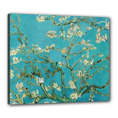 Almond Blossom  Canvas 24  X 20  by Valentinaart