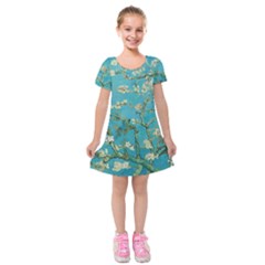 Almond Blossom  Kids  Short Sleeve Velvet Dress