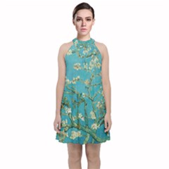 Almond Blossom  Velvet Halter Neckline Dress 