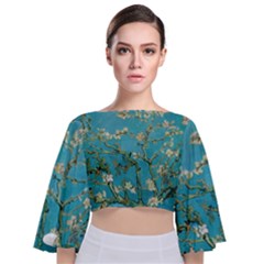 Almond Blossom  Tie Back Butterfly Sleeve Chiffon Top