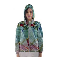 Hidde Strings Of Purity 2 Hooded Wind Breaker (women)