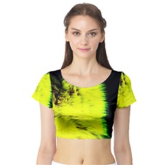 Colors And Fabrics 23 Short Sleeve Crop Top by bestdesignintheworld