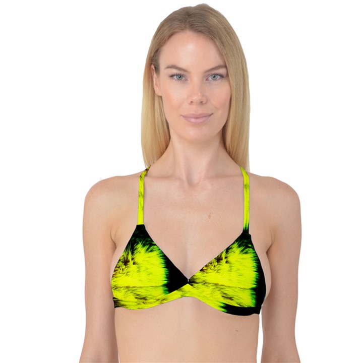 Colors And Fabrics 23 Reversible Tri Bikini Top