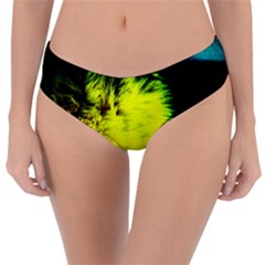 Colors And Fabrics 23 Reversible Classic Bikini Bottoms