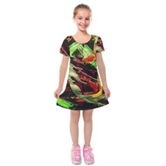 Enigma 1 Kids  Short Sleeve Velvet Dress by bestdesignintheworld