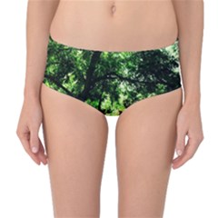 Lake Park 17 Mid-waist Bikini Bottoms by bestdesignintheworld