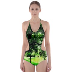 Lake Park 17 Cut-out One Piece Swimsuit by bestdesignintheworld