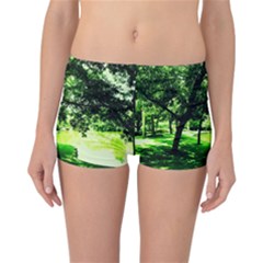 Lake Park 17 Reversible Boyleg Bikini Bottoms by bestdesignintheworld