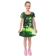 Lake Park 17 Kids  Short Sleeve Velvet Dress by bestdesignintheworld