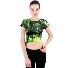 Lake Park 17 Crew Neck Crop Top by bestdesignintheworld