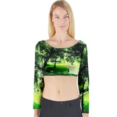 Lake Park 17 Long Sleeve Crop Top by bestdesignintheworld