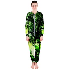 Lake Park 17 Onepiece Jumpsuit (ladies)  by bestdesignintheworld