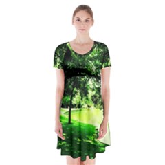 Lake Park 17 Short Sleeve V-neck Flare Dress by bestdesignintheworld