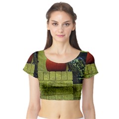 Pumpkins 10 Short Sleeve Crop Top by bestdesignintheworld