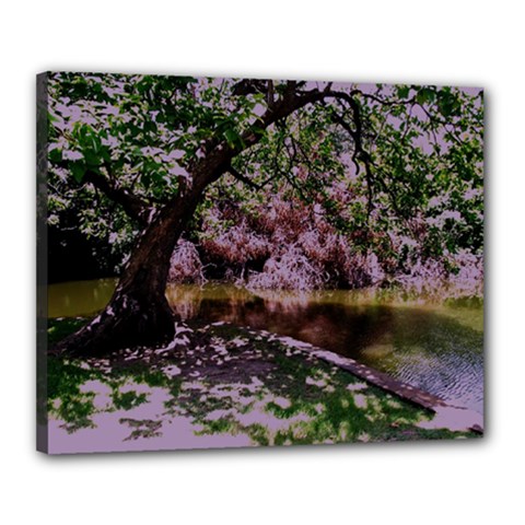 Old Tree 6 Canvas 20  X 16  by bestdesignintheworld