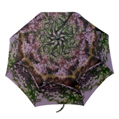 Old Tree 6 Folding Umbrellas by bestdesignintheworld