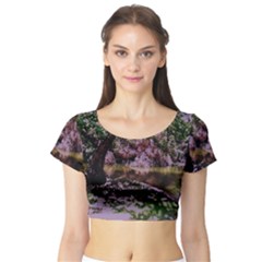 Old Tree 6 Short Sleeve Crop Top by bestdesignintheworld