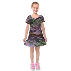 Old Tree 6 Kids  Short Sleeve Velvet Dress by bestdesignintheworld