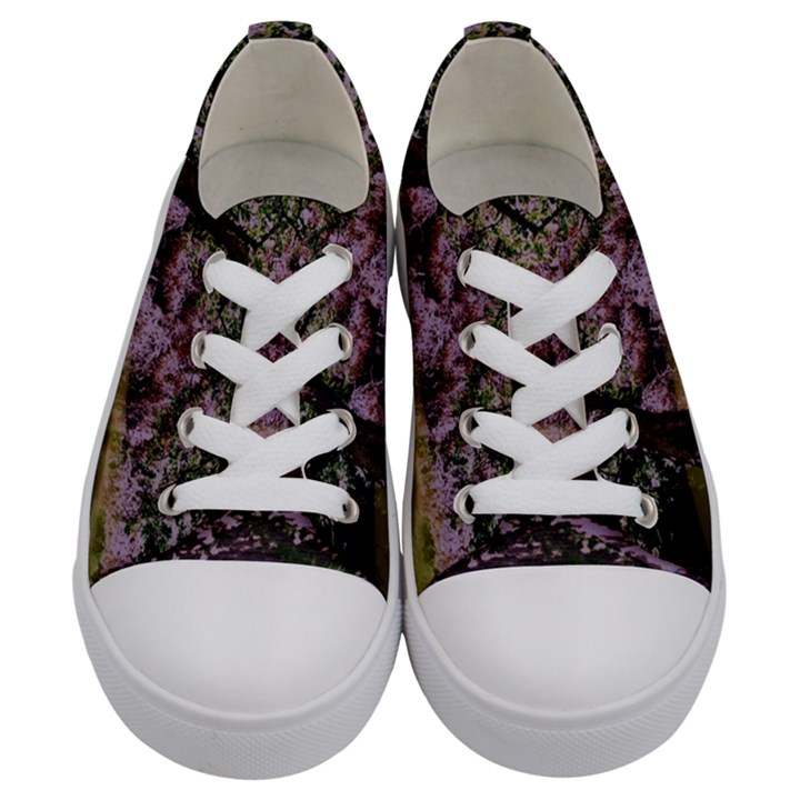 Old Tree 6 Kids  Low Top Canvas Sneakers