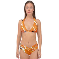 Smashed Butterfly 6 Double Strap Halter Bikini Set