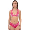 Pink Scarlet Gradient Stripes Pattern Double Strap Halter Bikini Set View1