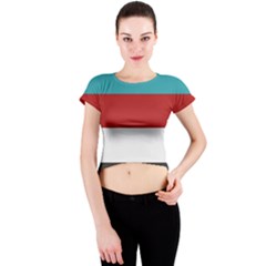 Dark Turquoise Deep Red Gray Elegant Striped Pattern Crew Neck Crop Top by yoursparklingshop