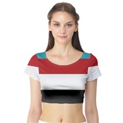 Dark Turquoise Deep Red Gray Elegant Striped Pattern Short Sleeve Crop Top by yoursparklingshop