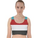 Dark Turquoise Deep Red Gray Elegant Striped Pattern Velvet Racer Back Crop Top View1