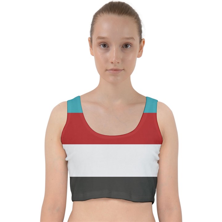 Dark Turquoise Deep Red Gray Elegant Striped Pattern Velvet Racer Back Crop Top