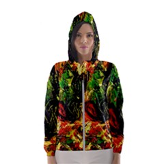 Sunset In A Desert Of Mexico Hooded Wind Breaker (women) by bestdesignintheworld