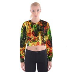 Sunset In A Desert Of Mexico Cropped Sweatshirt by bestdesignintheworld