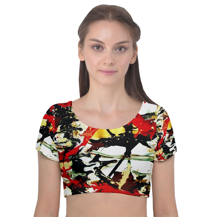 Ireland1/1 Velvet Short Sleeve Crop Top 