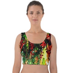 Resort Velvet Crop Top