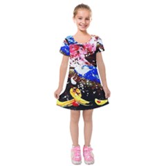 Smashed Butterfly 5 Kids  Short Sleeve Velvet Dress by bestdesignintheworld