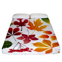 Beautiful Autumn Leaves Vector Fitted Sheet (california King Size) by Nexatart